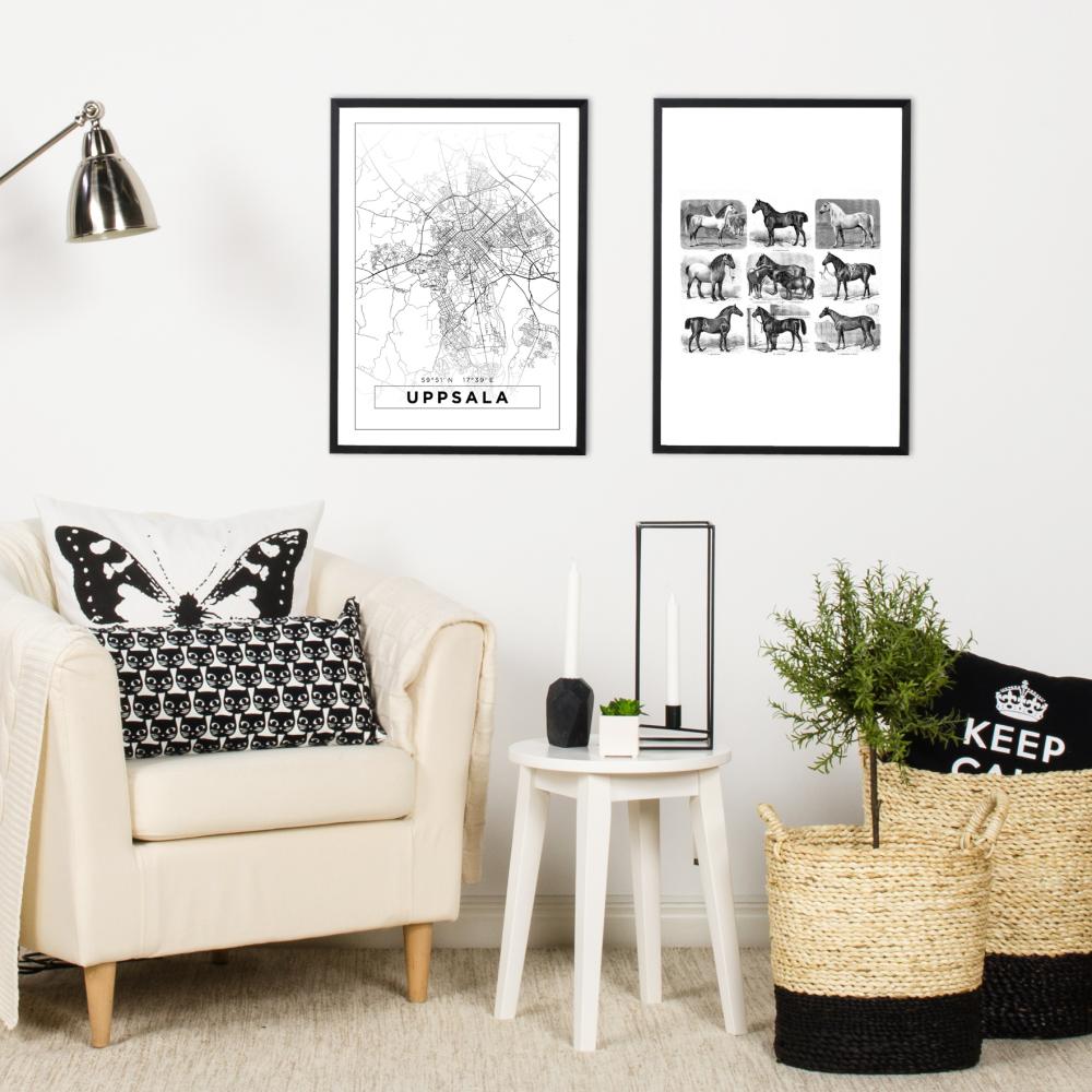 Hobuste liigid Plakat