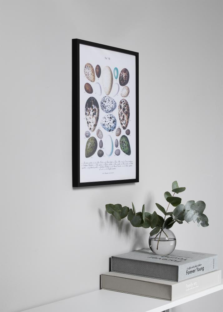 Raam Oslo muster 70x100 cm - paspartuu valge 60x90 cm