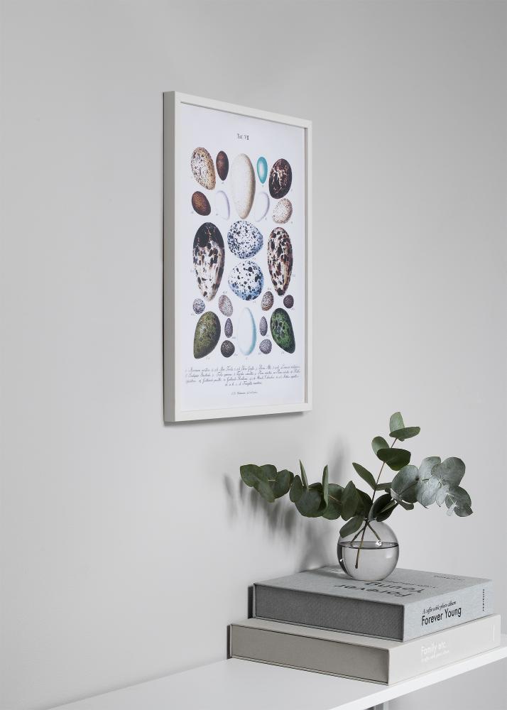Raam Oslo valge 40x50 cm - paspartuu valge 12x16 inches