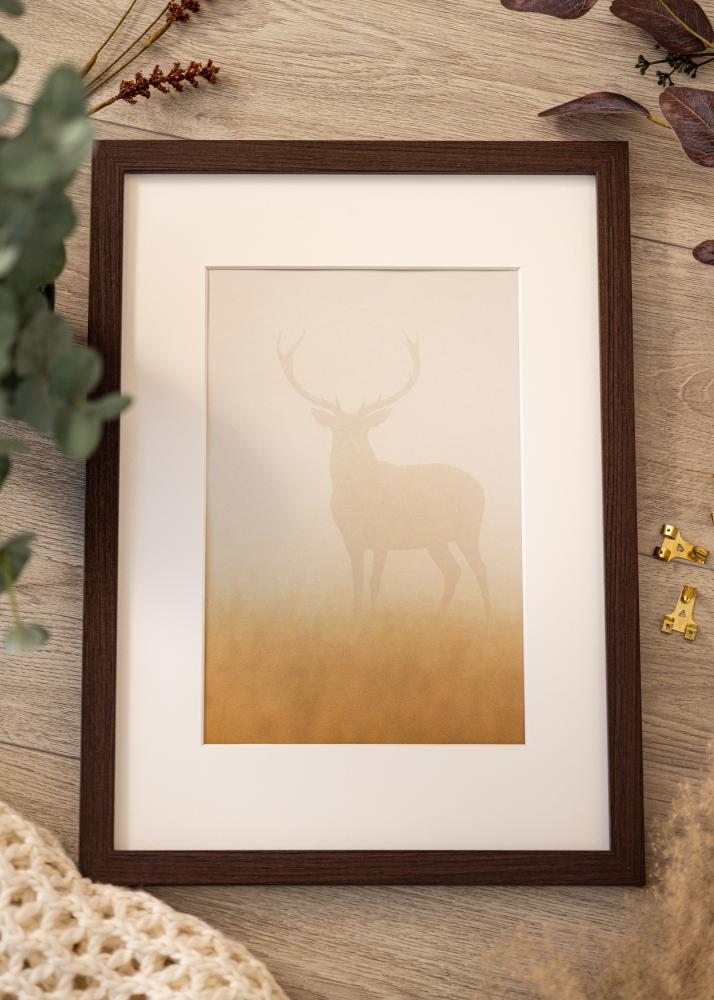 Raam Deco Akruulklaas pahkel 50x60 cm