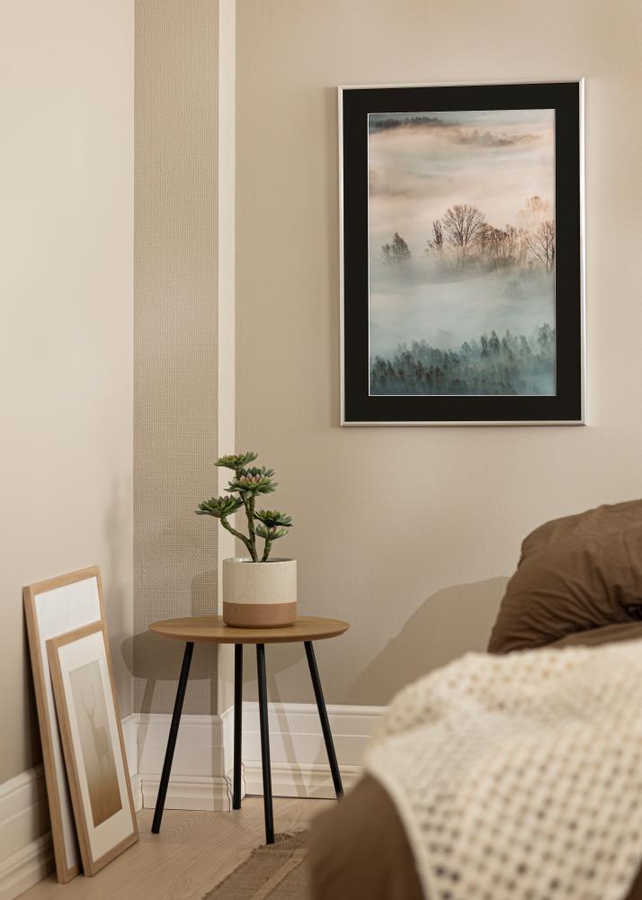 Raam New Lifestyle hobedane 70x100 cm - paspartuu muster 24x36 inches