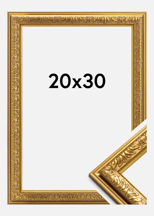 Raam Nostalgia kuldne 20x30 cm