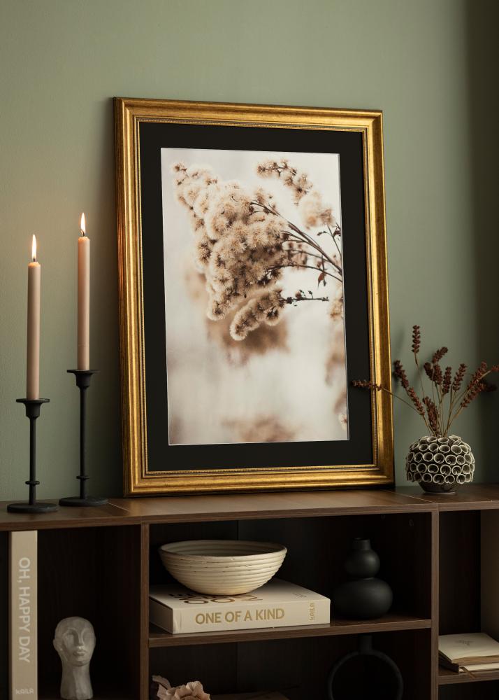 Raam rokokoo kuldne 30x40 cm - paspartuu muster 21x29,7 cm (A4)