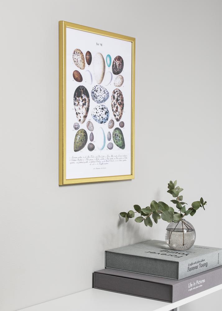 Raam Slim matt matt klaas kuldne 21X29,7 cm (A4)