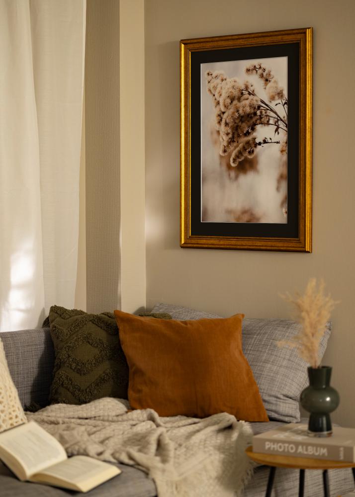 Raam rokokoo kuldne 30x40 cm - paspartuu muster 21x29,7 cm (A4)