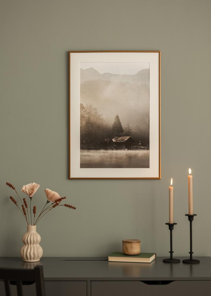Raam New Lifestyle pronks 50x70 cm - paspartuu valge 40x60 cm
