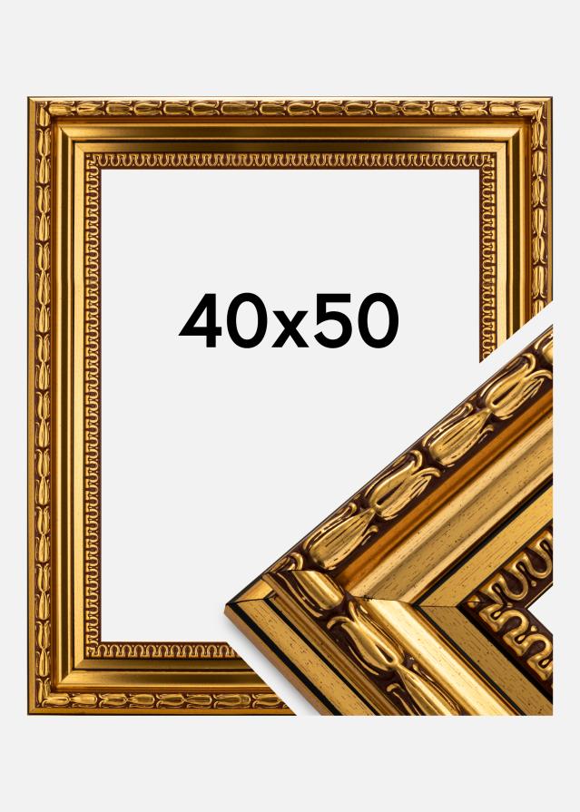 Raam Birka preemium kuldne 40x50 cm