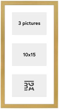 Edsbyn kollaazraam XVI kuldne - 3 pildid (10x15 cm)