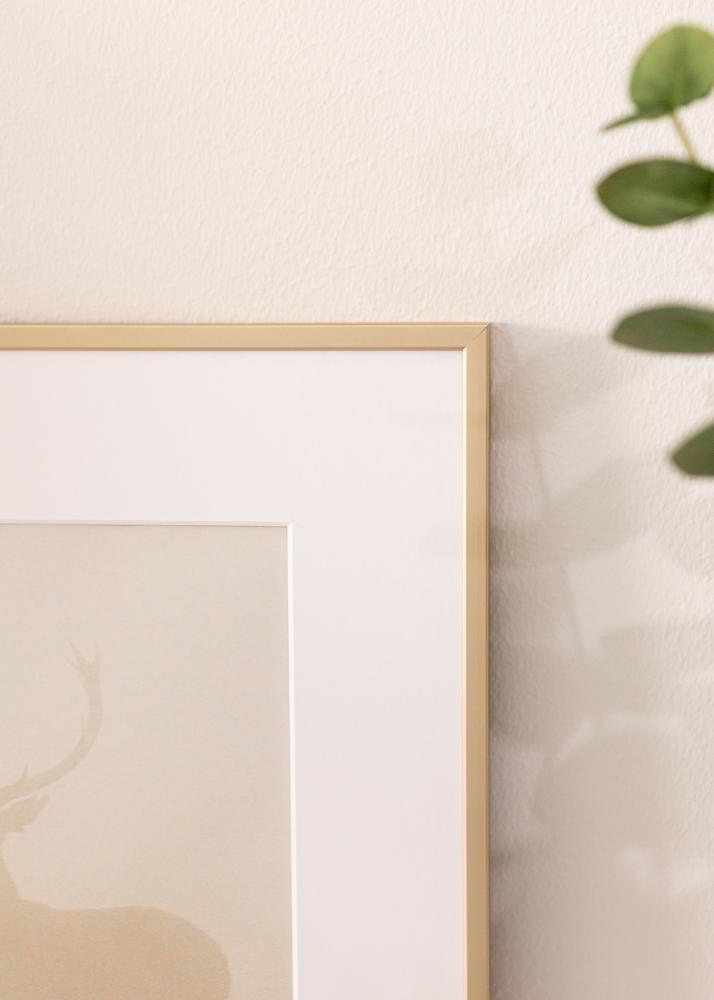 Alumiiniumraam akrüülklaas messing 42x59 4 cm (A2)