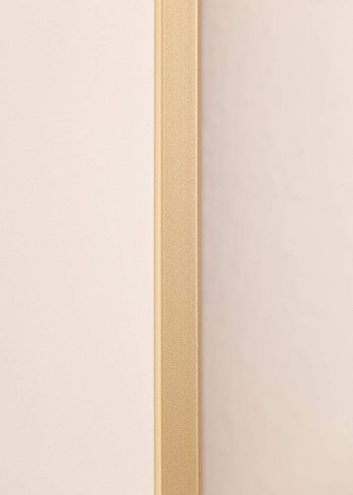 Alumiiniumraam akrüülklaas messing 42x59 4 cm (A2)