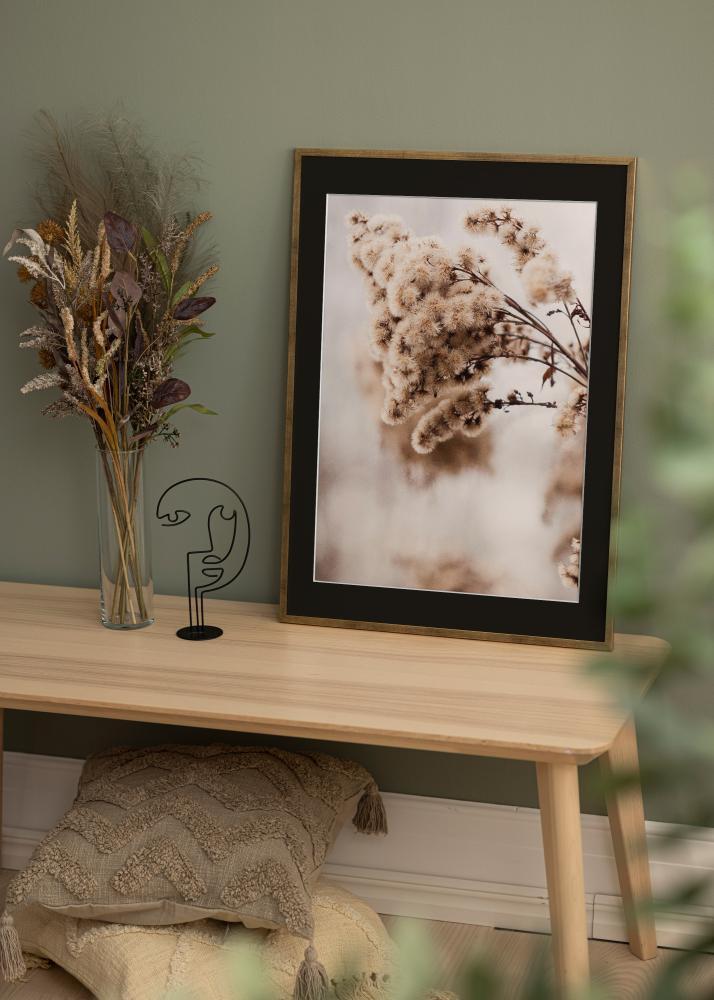 Raam Galant kuldne 40x50 cm - paspartuu muster 12x16 inches