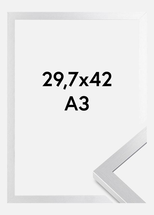 Raam Selection Akruulklaas hobedane 29,7x42 cm (A3)