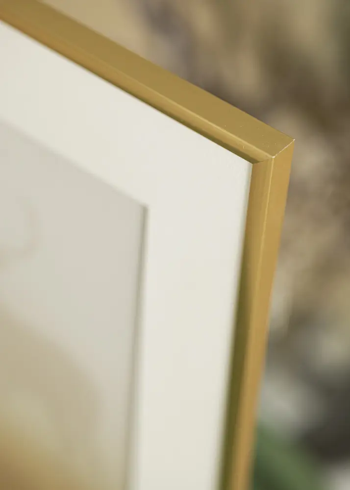 Raam New Lifestyle Akruulklaas Shiny Gold 21x29,7 cm (A4)