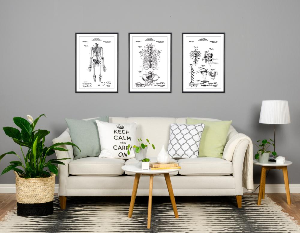 Patenteeritud joonistus - anatoomiline skelett III Plakat